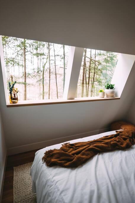 Dunlap Hollow A-Frame Rockbridge Exteriör bild