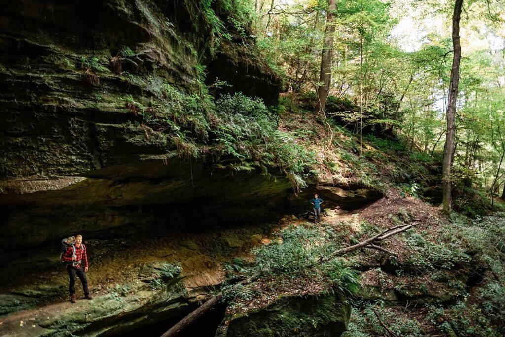Dunlap Hollow A-Frame Rockbridge Exteriör bild