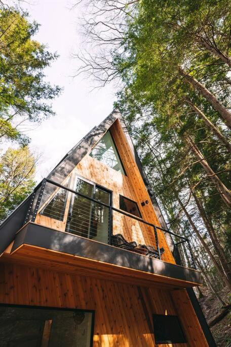 Dunlap Hollow A-Frame Rockbridge Exteriör bild